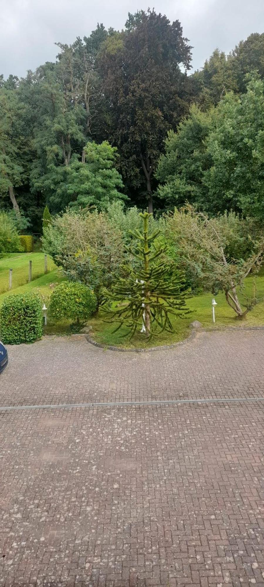 Pension Zum Park Goldberg Eksteriør bilde